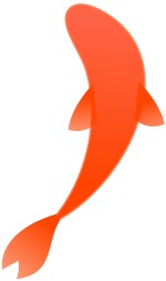 安徽卫视海豚tv，安徽卫视台标有什么寓意（海豚TV召唤锦鲤）