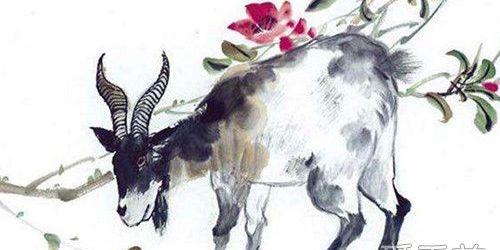 1979属羊今年的每月运气，1979年属羊每月运气（属羊人2020年每个月运势）