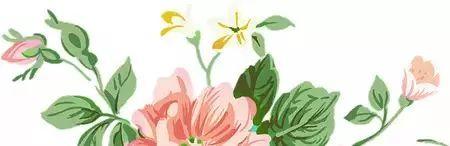 保护环境的标语，50句保护环境的标语（100条农村人居环境整治宣传标语送给您）