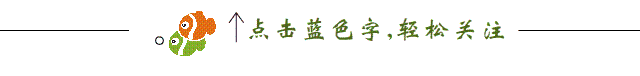 地震的拼音怎么写，地震的拼音（《汉语拼音正词法基本规则》）