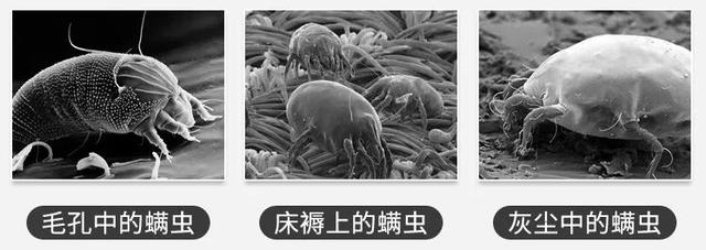 羊奶皂的使用方法，手工羊奶皂的使用方法（修护肌肤建立屏障）
