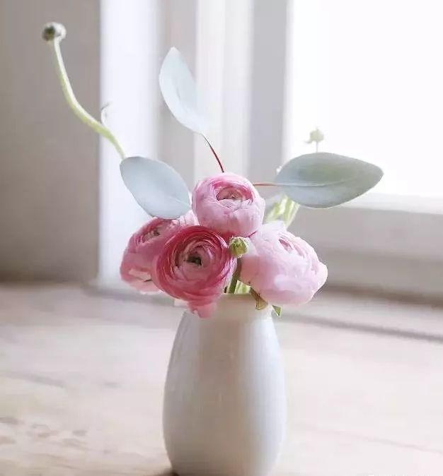 满天星怎么画简单好看，满天星怎么画简笔（零基础的20种花材插花方法）