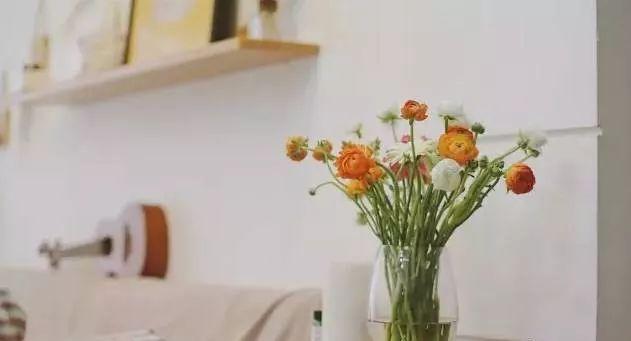 满天星怎么画简单好看，满天星怎么画简笔（零基础的20种花材插花方法）