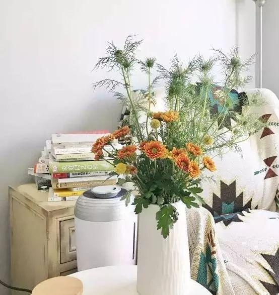 满天星怎么画简单好看，满天星怎么画简笔（零基础的20种花材插花方法）