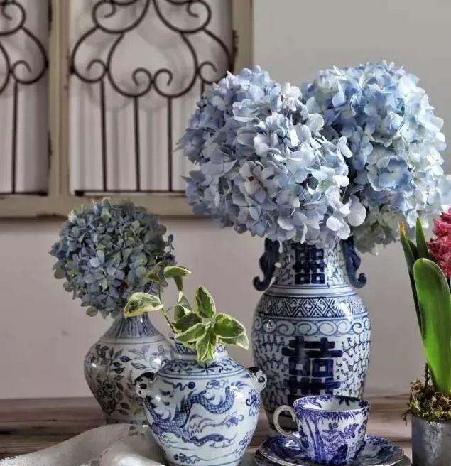 满天星怎么画简单好看，满天星怎么画简笔（零基础的20种花材插花方法）