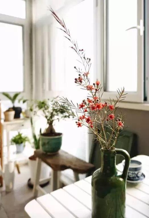 满天星怎么画简单好看，满天星怎么画简笔（零基础的20种花材插花方法）