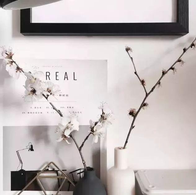 满天星怎么画简单好看，满天星怎么画简笔（零基础的20种花材插花方法）