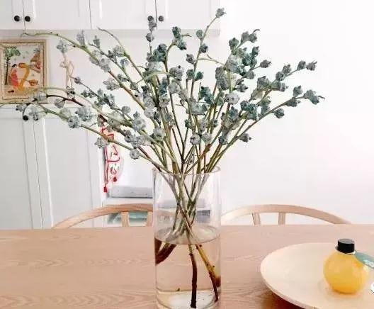 满天星怎么画简单好看，满天星怎么画简笔（零基础的20种花材插花方法）