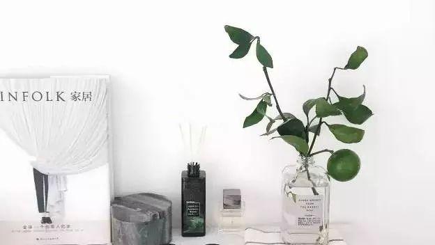 满天星怎么画简单好看，满天星怎么画简笔（零基础的20种花材插花方法）