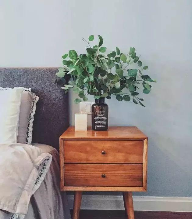 满天星怎么画简单好看，满天星怎么画简笔（零基础的20种花材插花方法）