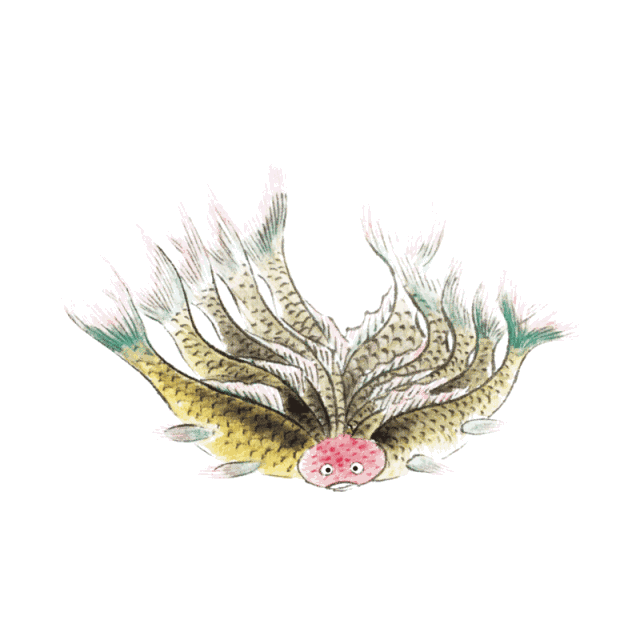 山海经有多少个异兽，山海经有多少异兽（召唤出《山海经》中的100个神祇异兽）