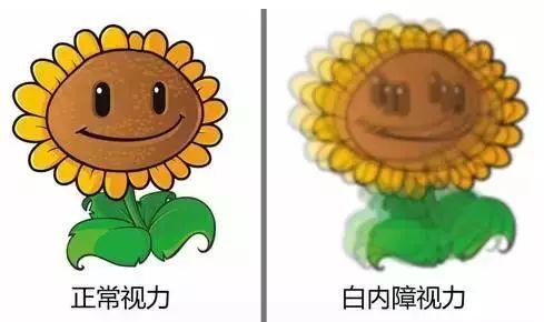 眼病的种类有哪些，眼病的种类有哪些图片（最全《眼睛使用说明书》）