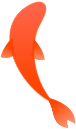 安徽卫视海豚tv，安徽卫视台标有什么寓意（海豚TV召唤锦鲤）