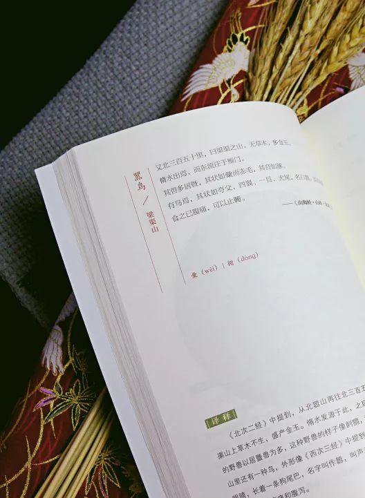 山海经有多少个异兽，山海经有多少异兽（召唤出《山海经》中的100个神祇异兽）