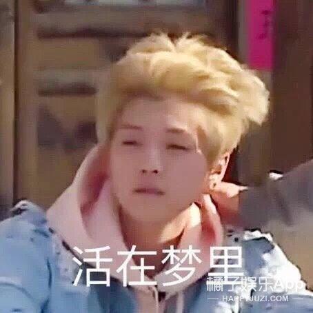 百分九的应援色是什么，百分九应援色分别是什么（UNINE团综、Vlog都安排上了）