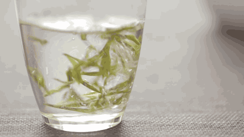 绿茶是热性还是凉性，绿茶属于凉性不是热性（快看看你适合喝哪种茶）