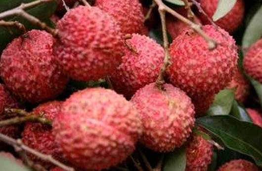 暖性的水果都有什么，七种暖胃的水果（就吃哪种水果）