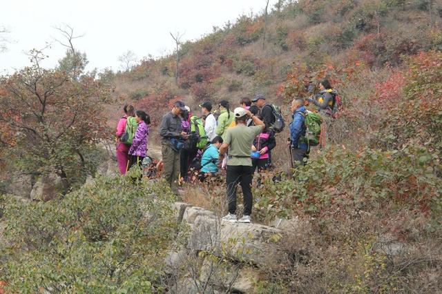 龙头崮红叶谷旅游攻略，蒙山红叶谷龙头崮上大草原穿越赏红叶