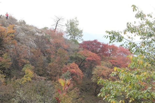 龙头崮红叶谷旅游攻略，蒙山红叶谷龙头崮上大草原穿越赏红叶