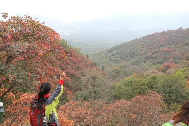 龙头崮红叶谷旅游攻略，蒙山红叶谷龙头崮上大草原穿越赏红叶