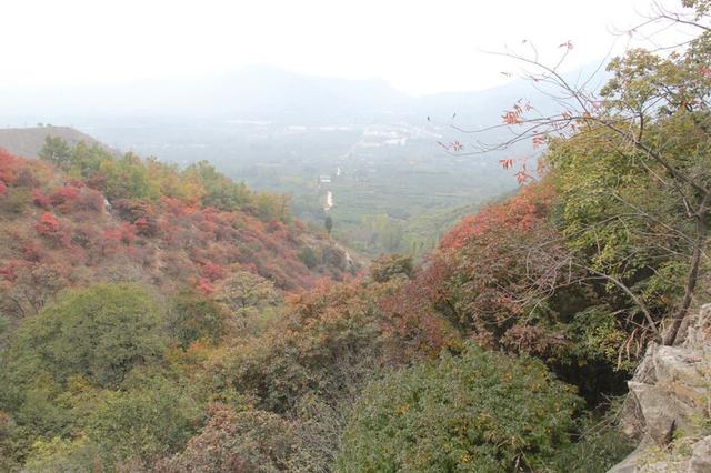 龙头崮红叶谷旅游攻略，蒙山红叶谷龙头崮上大草原穿越赏红叶