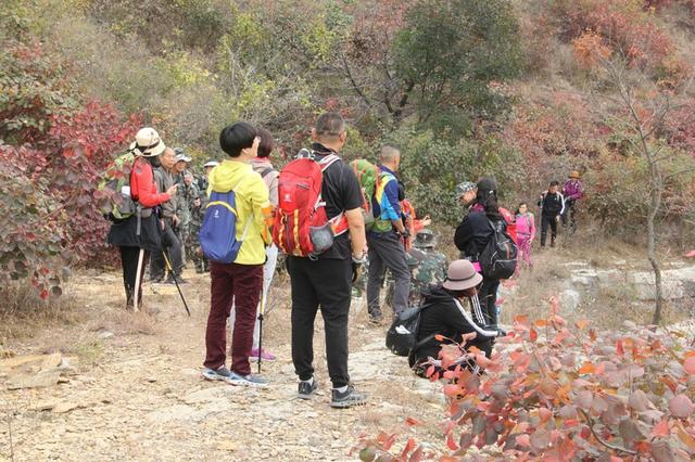 龙头崮红叶谷旅游攻略，蒙山红叶谷龙头崮上大草原穿越赏红叶