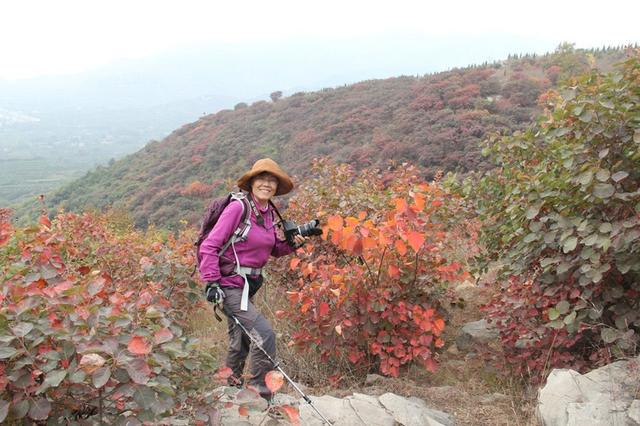 龙头崮红叶谷旅游攻略，蒙山红叶谷龙头崮上大草原穿越赏红叶