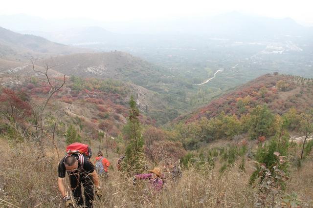 龙头崮红叶谷旅游攻略，蒙山红叶谷龙头崮上大草原穿越赏红叶