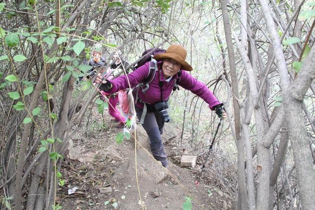 龙头崮红叶谷旅游攻略，蒙山红叶谷龙头崮上大草原穿越赏红叶