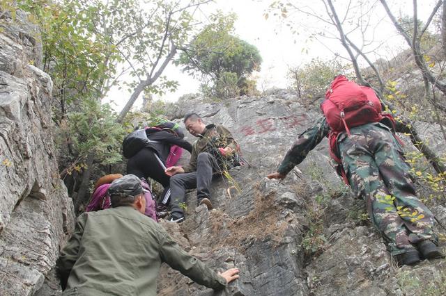 龙头崮红叶谷旅游攻略，蒙山红叶谷龙头崮上大草原穿越赏红叶