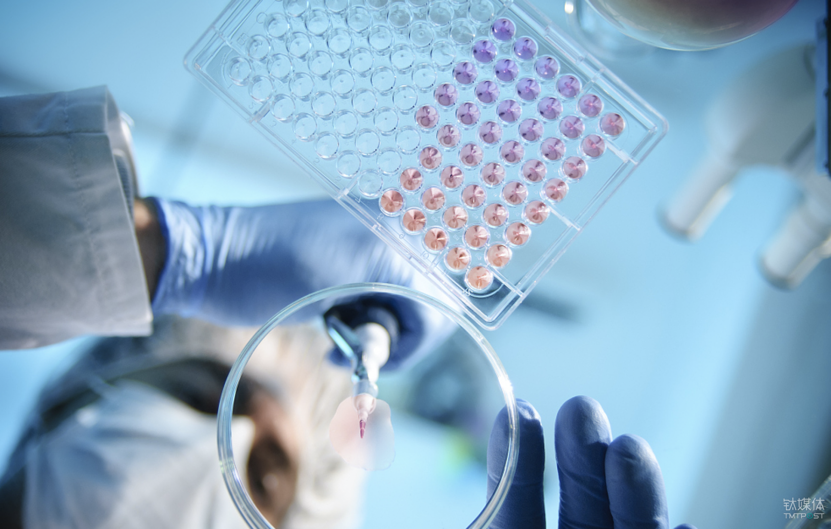 医疗芯片 浙江盛域医疗技术取得一种血液检测微流控芯片专利，解决凝血测量检测无法满足即时检测需求问题