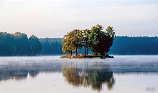 伤感孤独的句子，伤感的孤独句子（伤感短句看完哭了的那种）