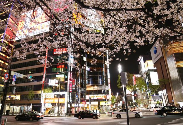 日本旅游景点介绍，日本著名旅游景点介绍（东京十大必玩景点）