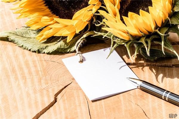 涛声依旧什么意思，涛声依旧是什么意思（人生感悟经典哲理语句）