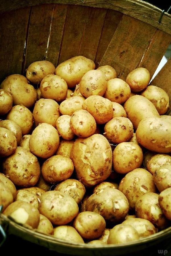 谁说发芽的土豆不能吃，土豆发芽是不是不能吃（可能你一直存在误解）