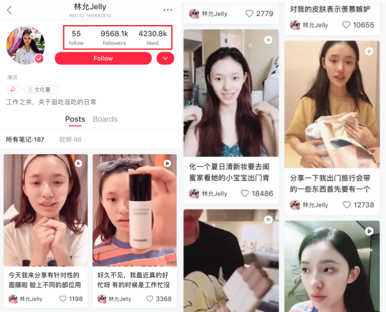 小红书平台(小红书蓝v怎么申请)