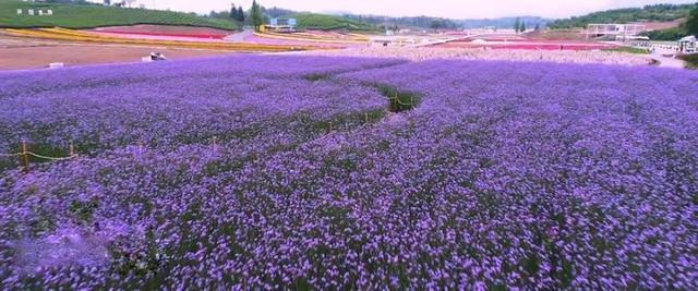 武义旅游攻略，武义旅游攻略二日游（《武义的一天》献给这座温暖小城）