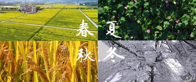 武义旅游攻略，武义旅游攻略二日游（《武义的一天》献给这座温暖小城）