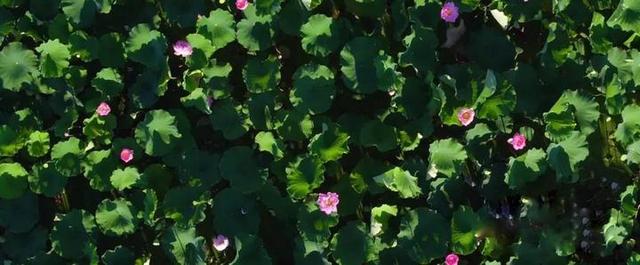 武义旅游攻略，武义旅游攻略二日游（《武义的一天》献给这座温暖小城）