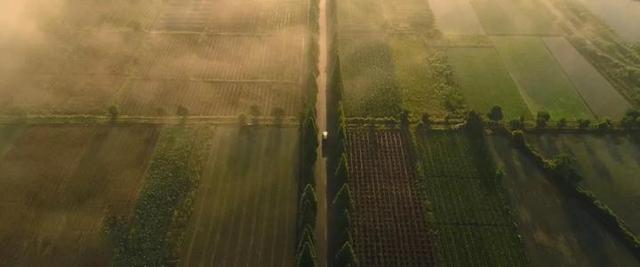 武义旅游攻略，武义旅游攻略二日游（《武义的一天》献给这座温暖小城）