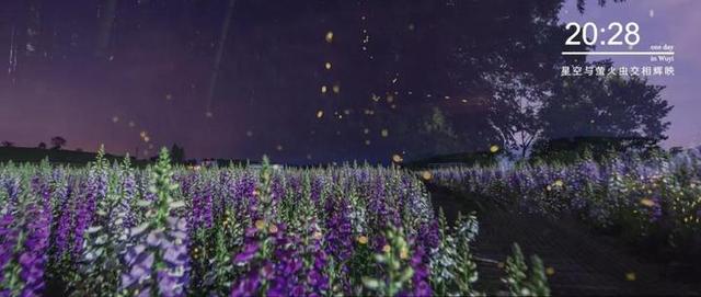 武义旅游攻略，武义旅游攻略二日游（《武义的一天》献给这座温暖小城）