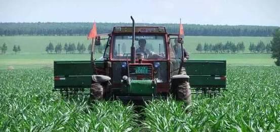 玉米种植时间和方法，春玉米播种时间、生长周期、施肥标准