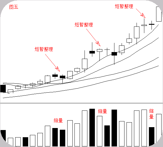 沪市股票什么开头，上海股票代码是什么开头（这一文终于讲的明明白白了）