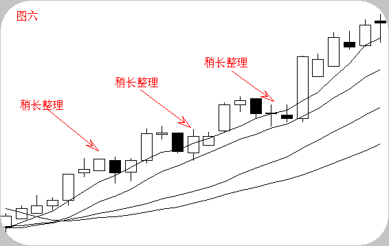 沪市股票什么开头，上海股票代码是什么开头（这一文终于讲的明明白白了）