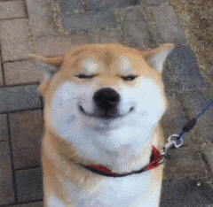 梦见自己被狗追，梦见自己被狗追咬预示什么（只为……咬主人一口）