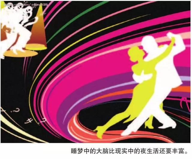 梦见滑雪是什么意思，梦：大脑的夜生活