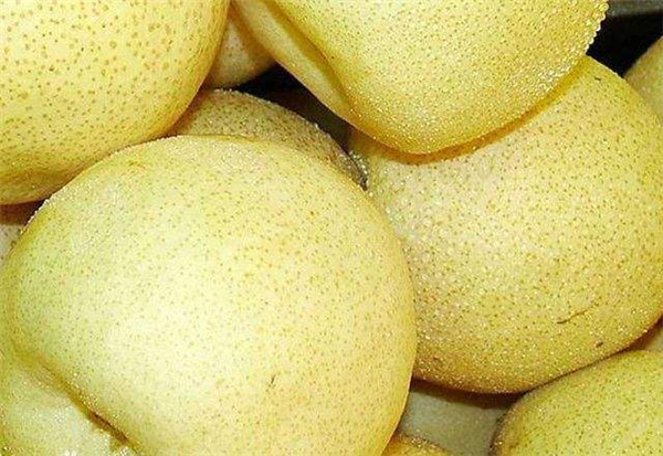 蜂蜜正确吃法及作用，营养专家教你如此喝会更好