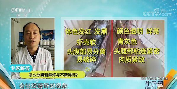 虾变红了还能吃吗，生虾变红了是不是坏了（工大教授在中央电视台告诉你）