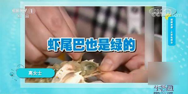虾变红了还能吃吗，生虾变红了是不是坏了（工大教授在中央电视台告诉你）