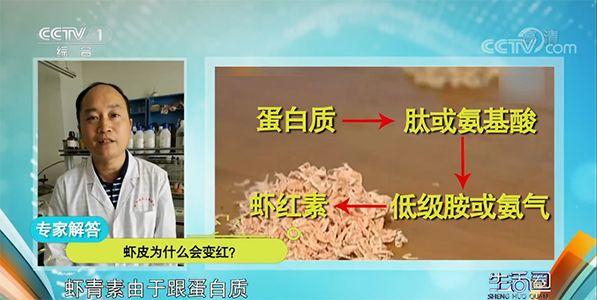 虾变红了还能吃吗，生虾变红了是不是坏了（工大教授在中央电视台告诉你）